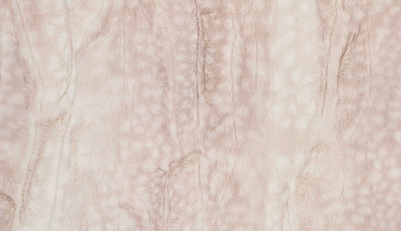 Fawn Rosewater