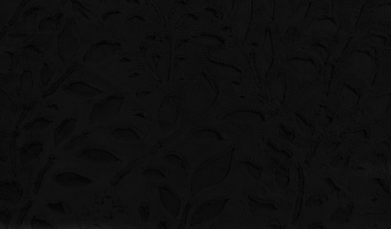 Poppy Black