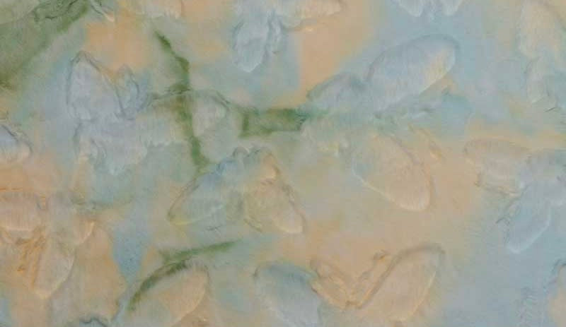 Sorbet Butterfly Lemon Fizz