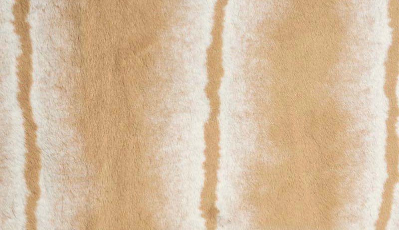 Seal Mesa Sand