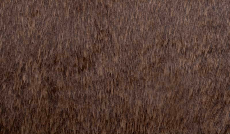 Teddy Grizzly