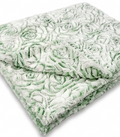Demi Rose Frosted Prism Basil Minky Blanket